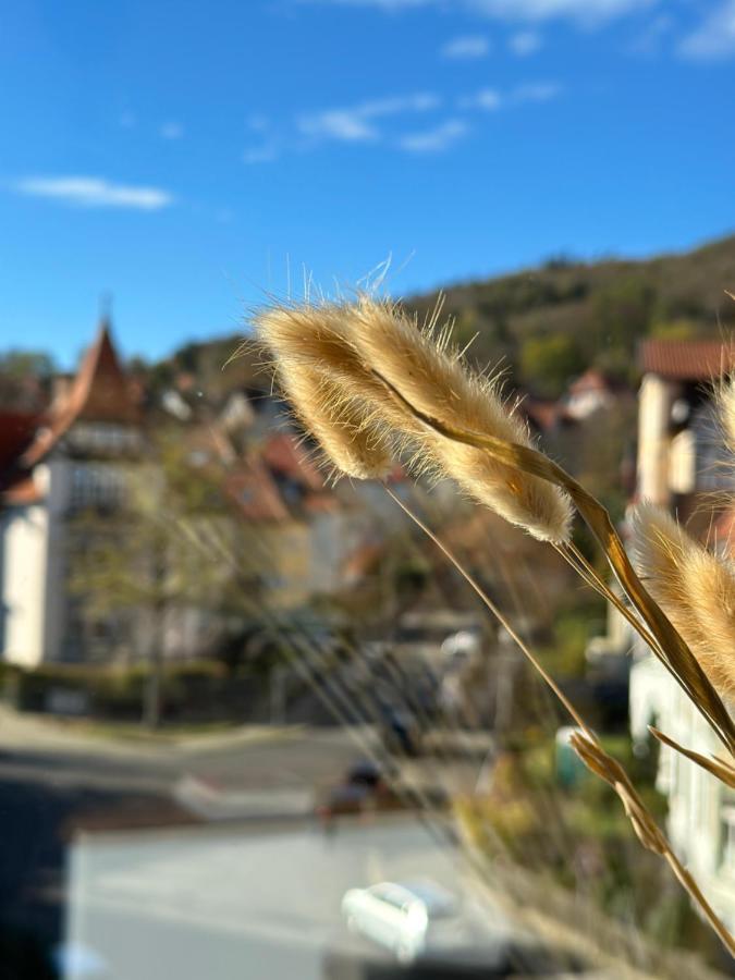 Turm.Blick Apartment Goslar Luaran gambar