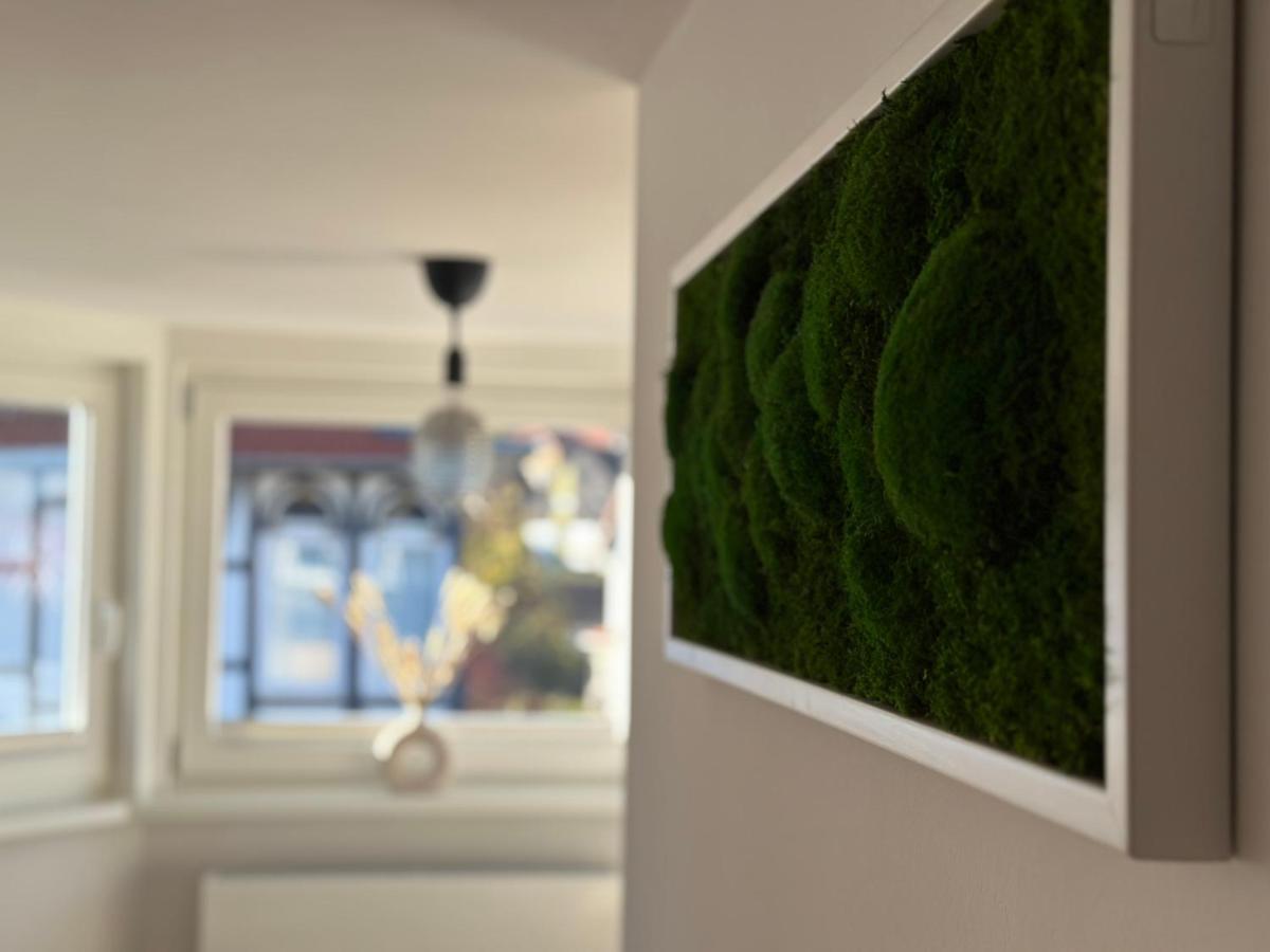 Turm.Blick Apartment Goslar Luaran gambar